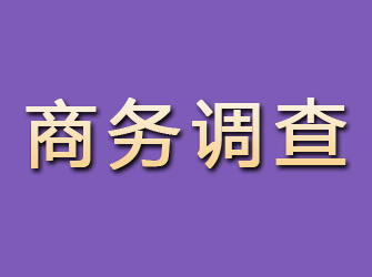 河曲商务调查